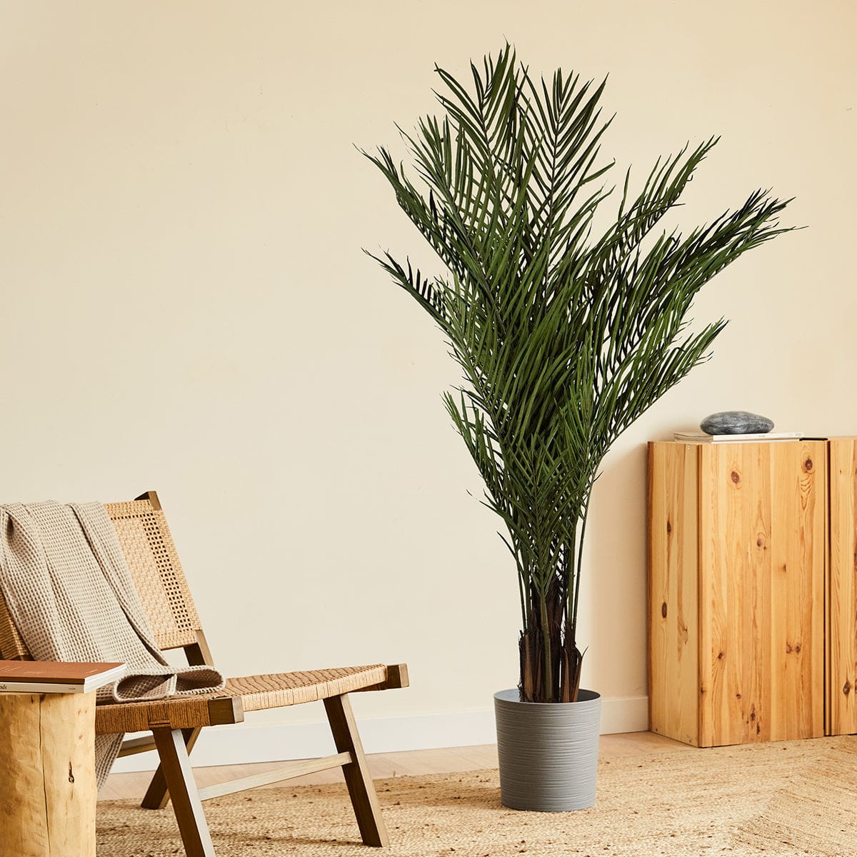 Palmera Tropical XL