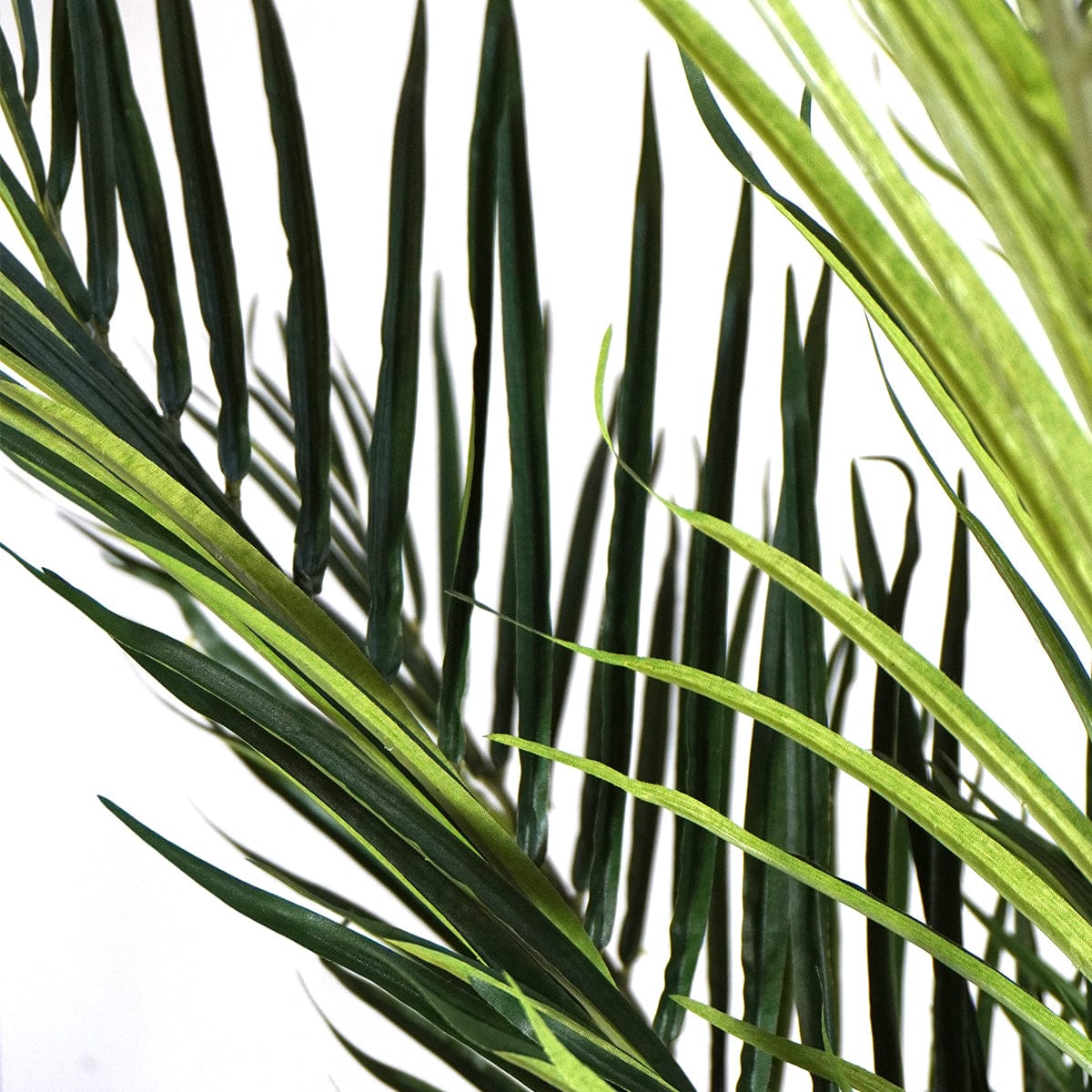 Palmera Tropical XL