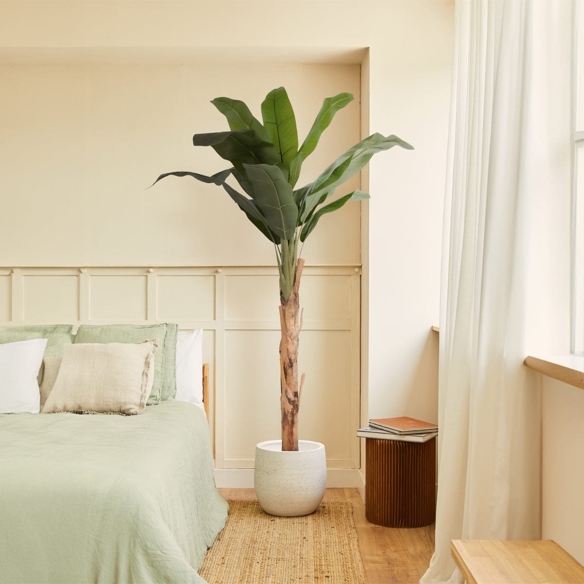 Banana tree