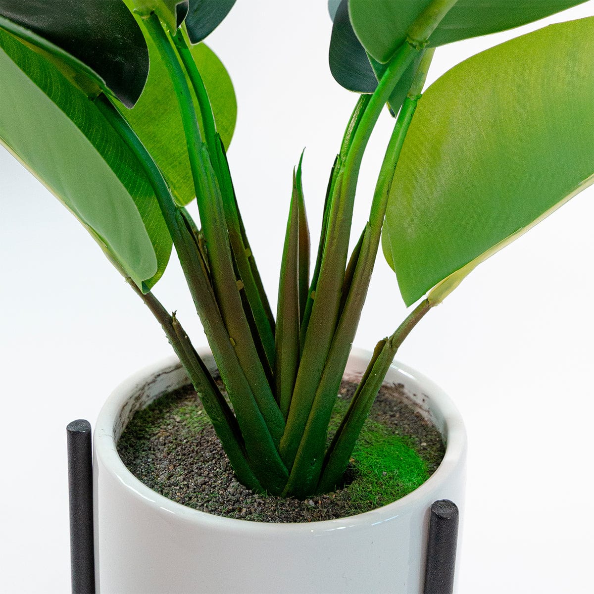 Platanera con Soporte