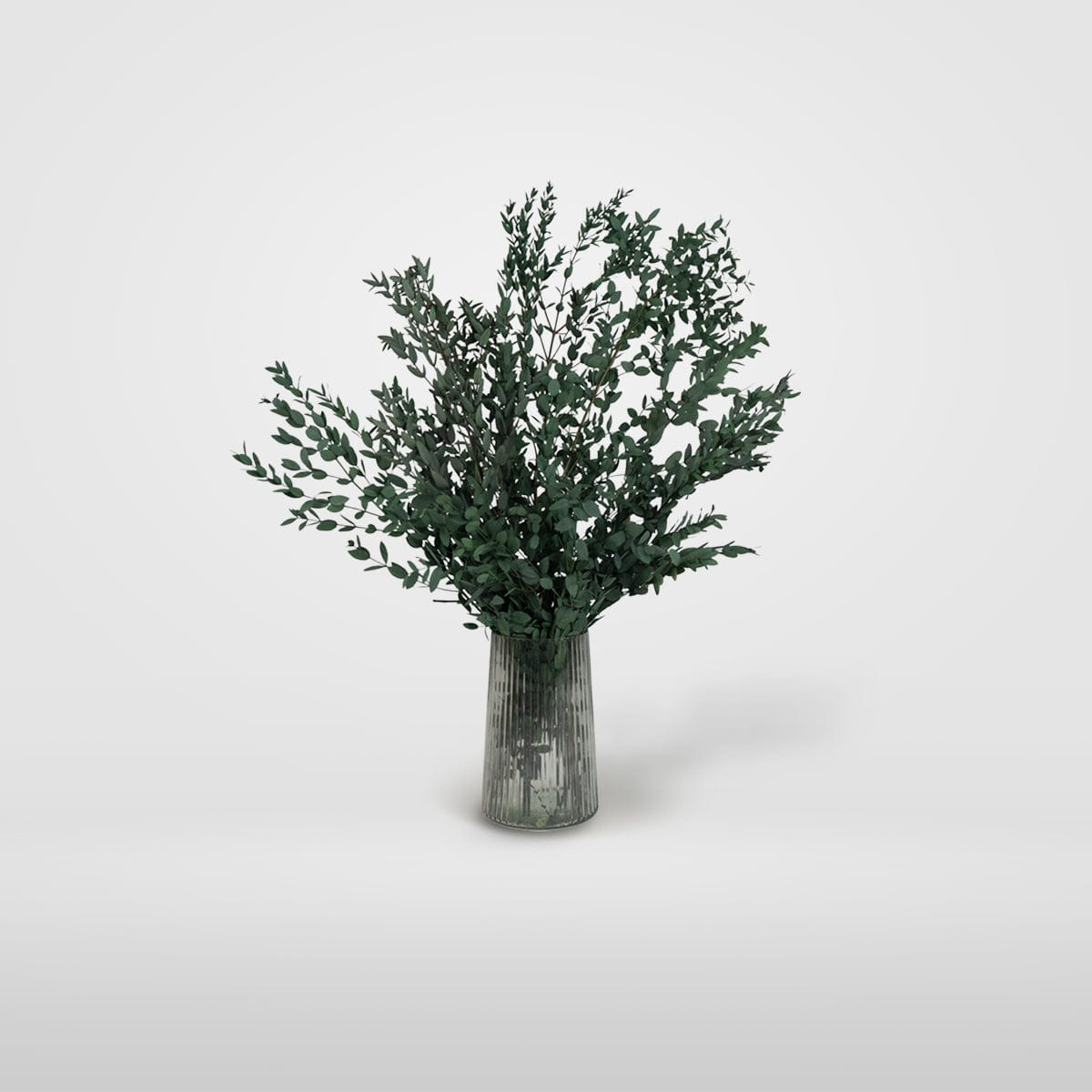 Ramo Parvifolia Verde