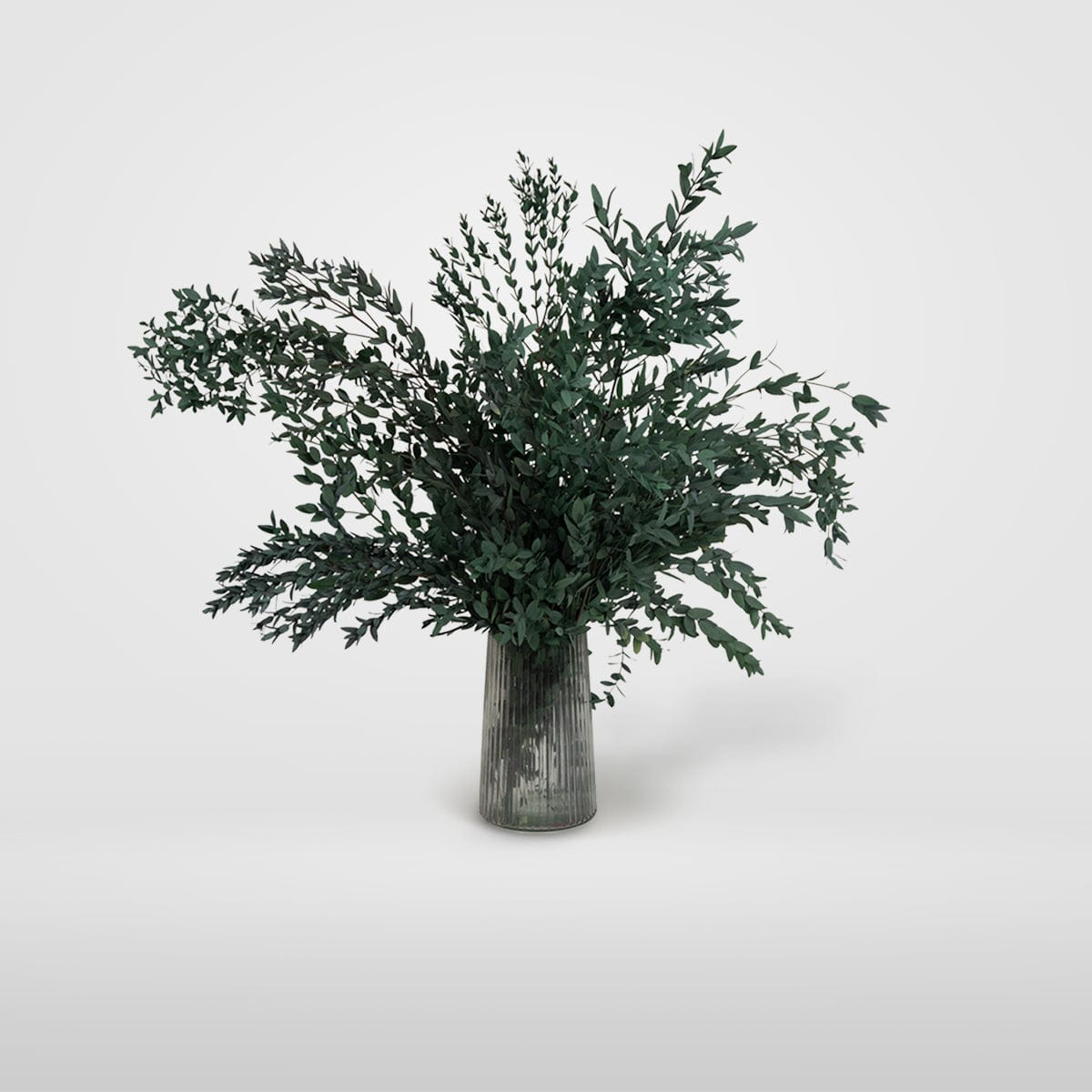 Ramo Parvifolia Verde