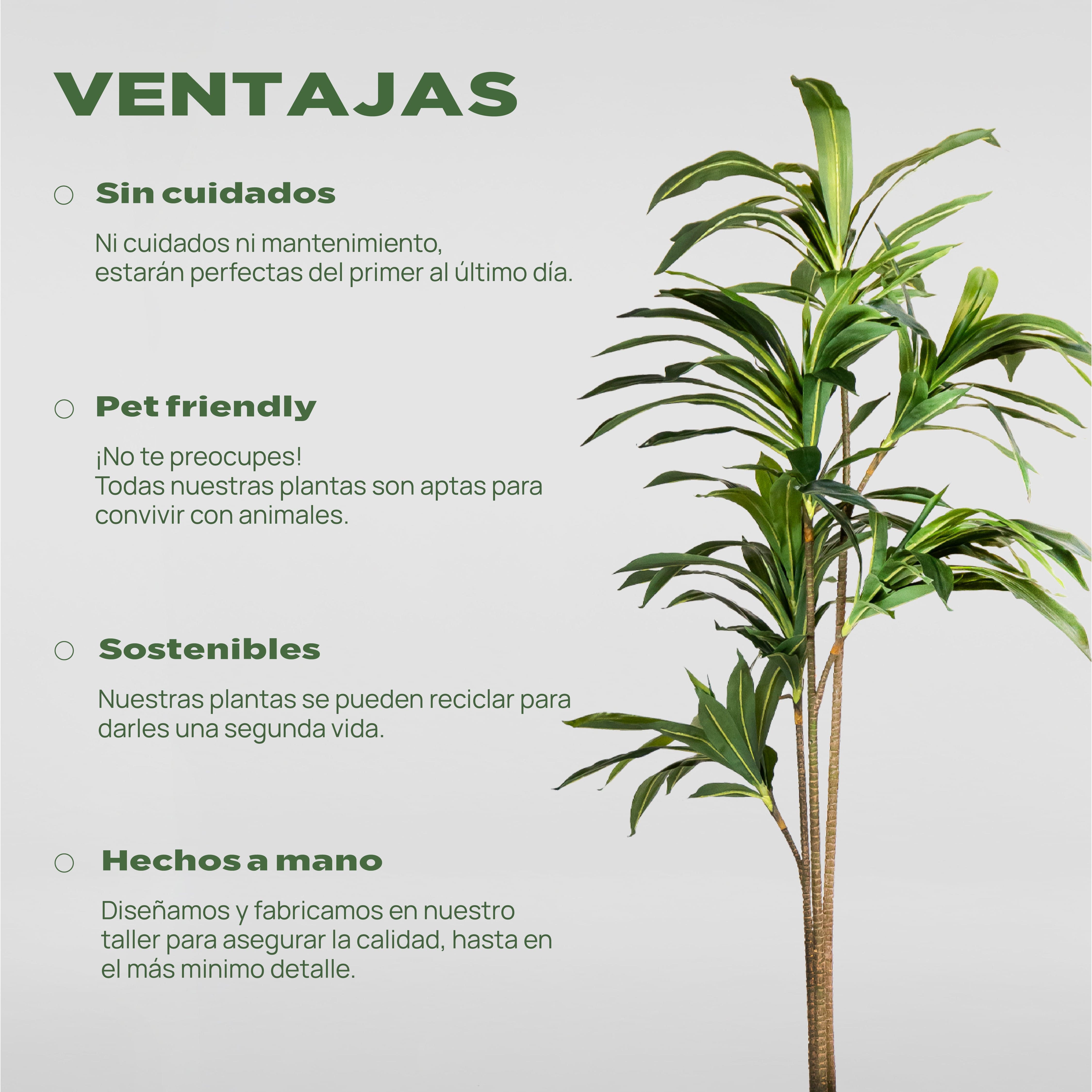 Dracena Artificial