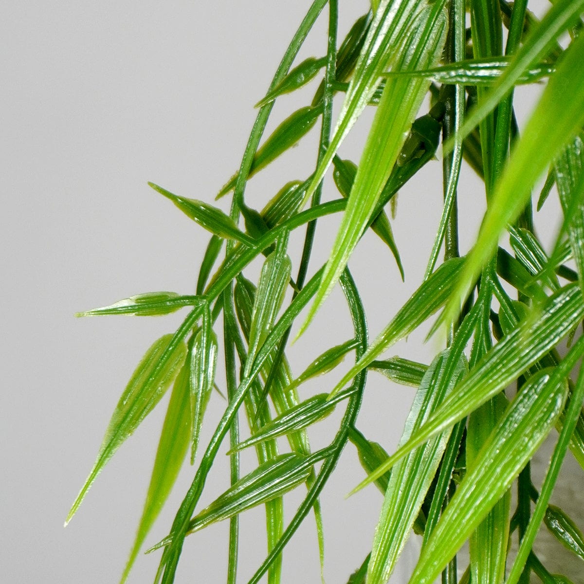 Bambú Colgante