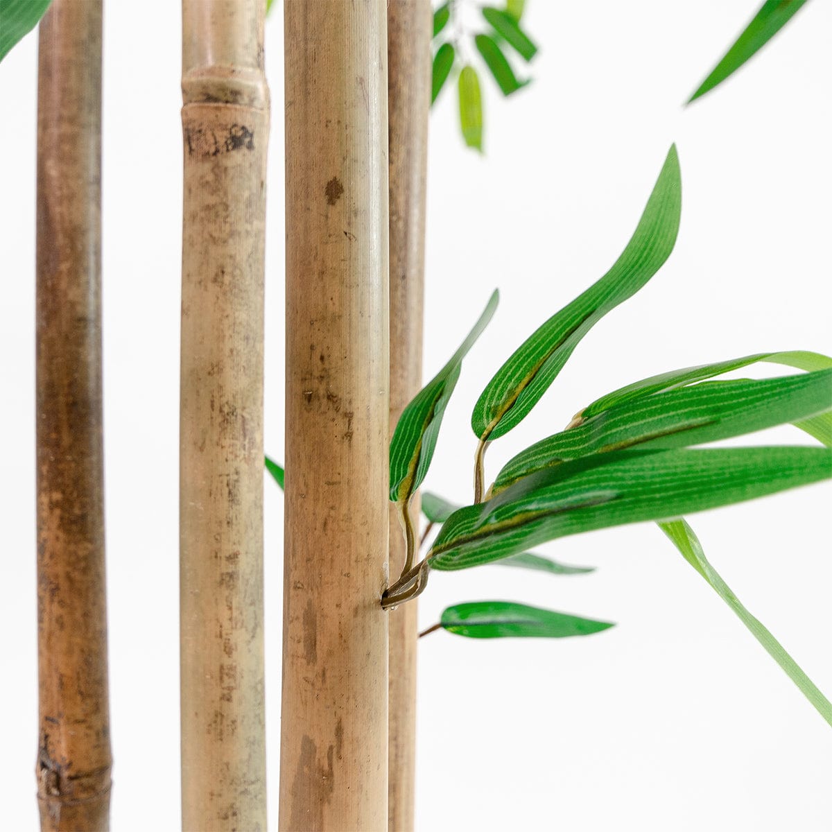 Arbol Artificial Hoja Bambú Con Maceta