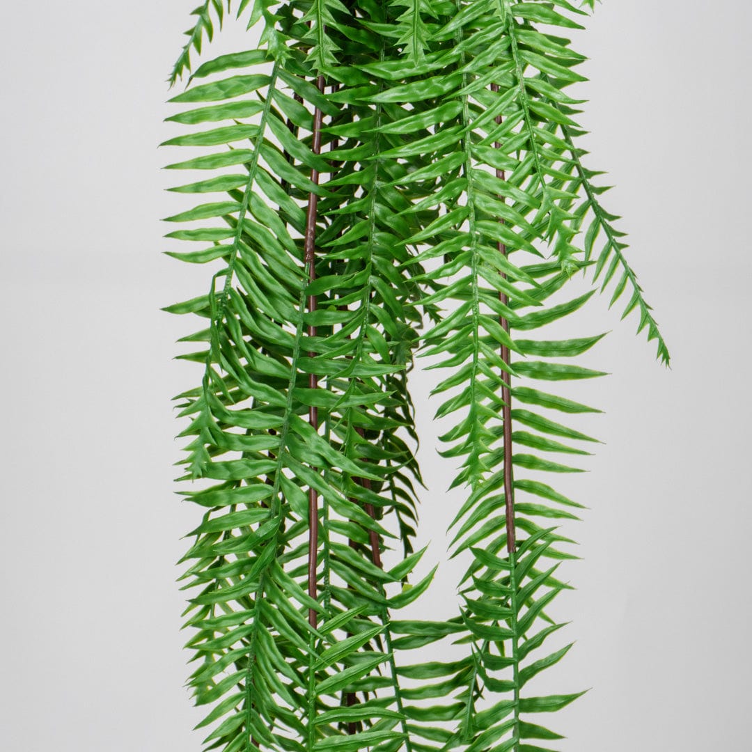 Helechosa Colgante Verde