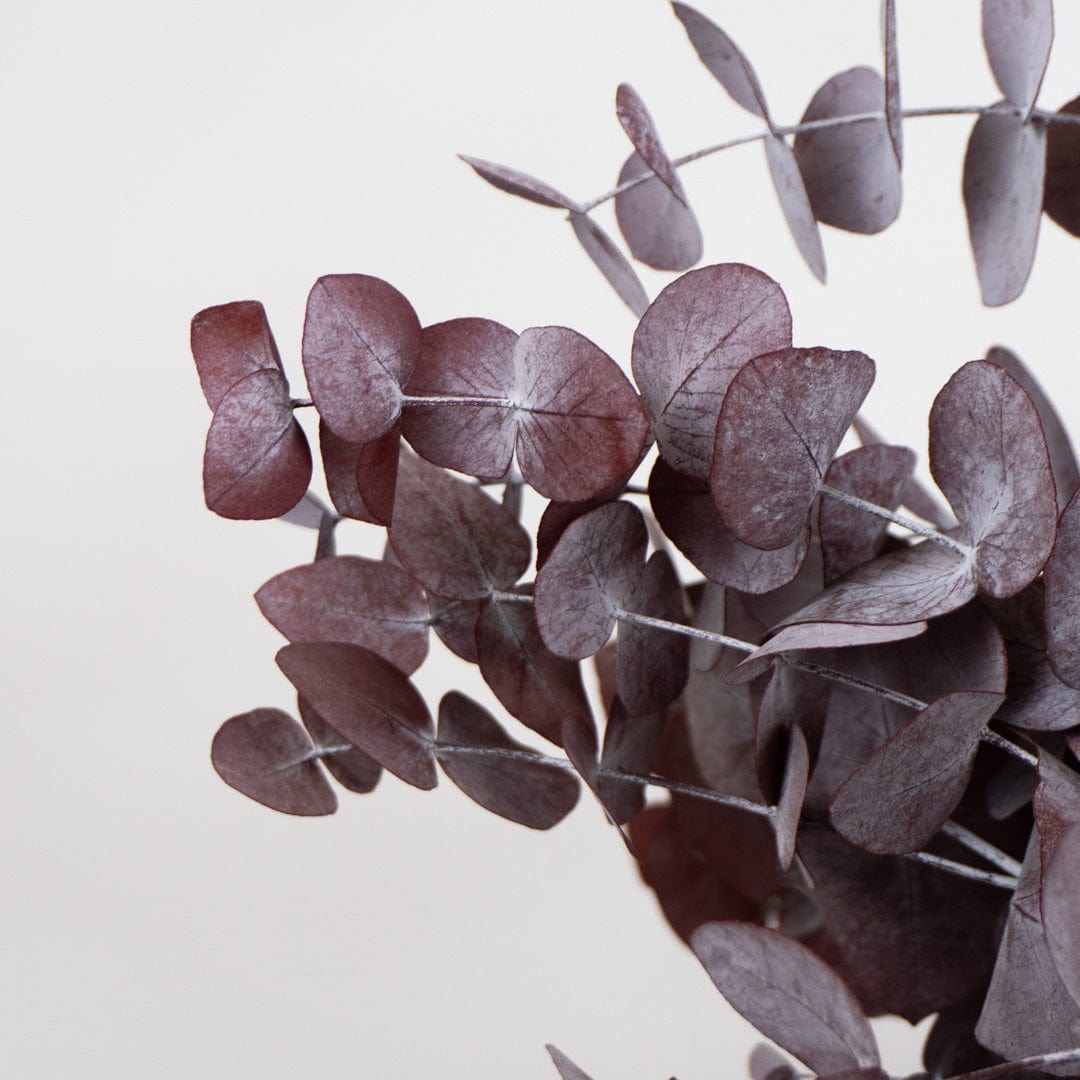 Ramo Eucalipto Granate