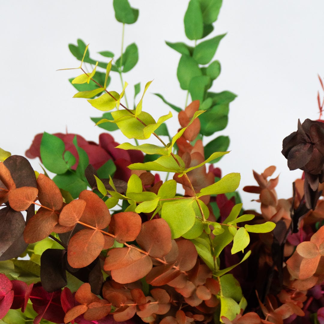 Ramo Eucalipto Mixto