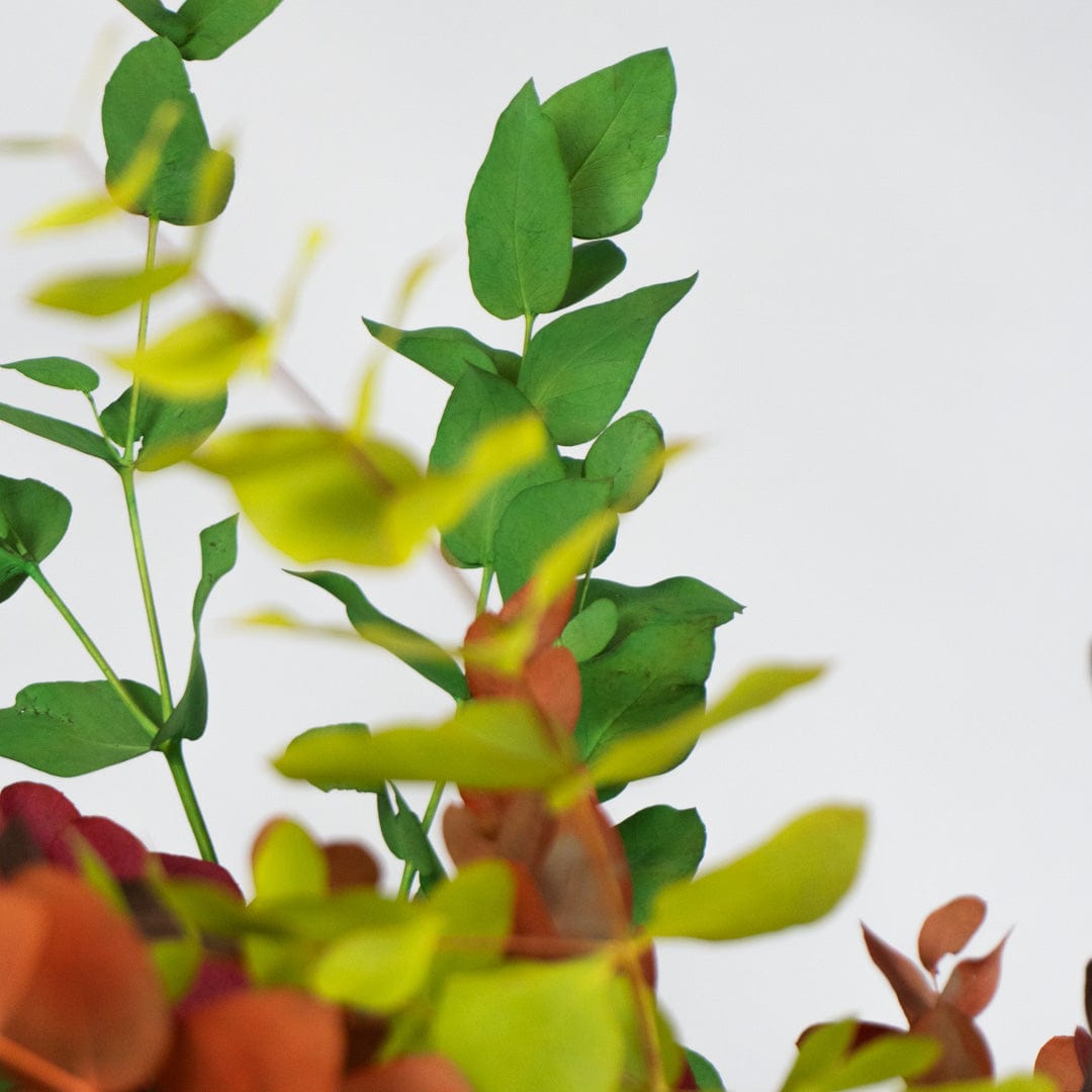 Ramo Eucalipto Mixto