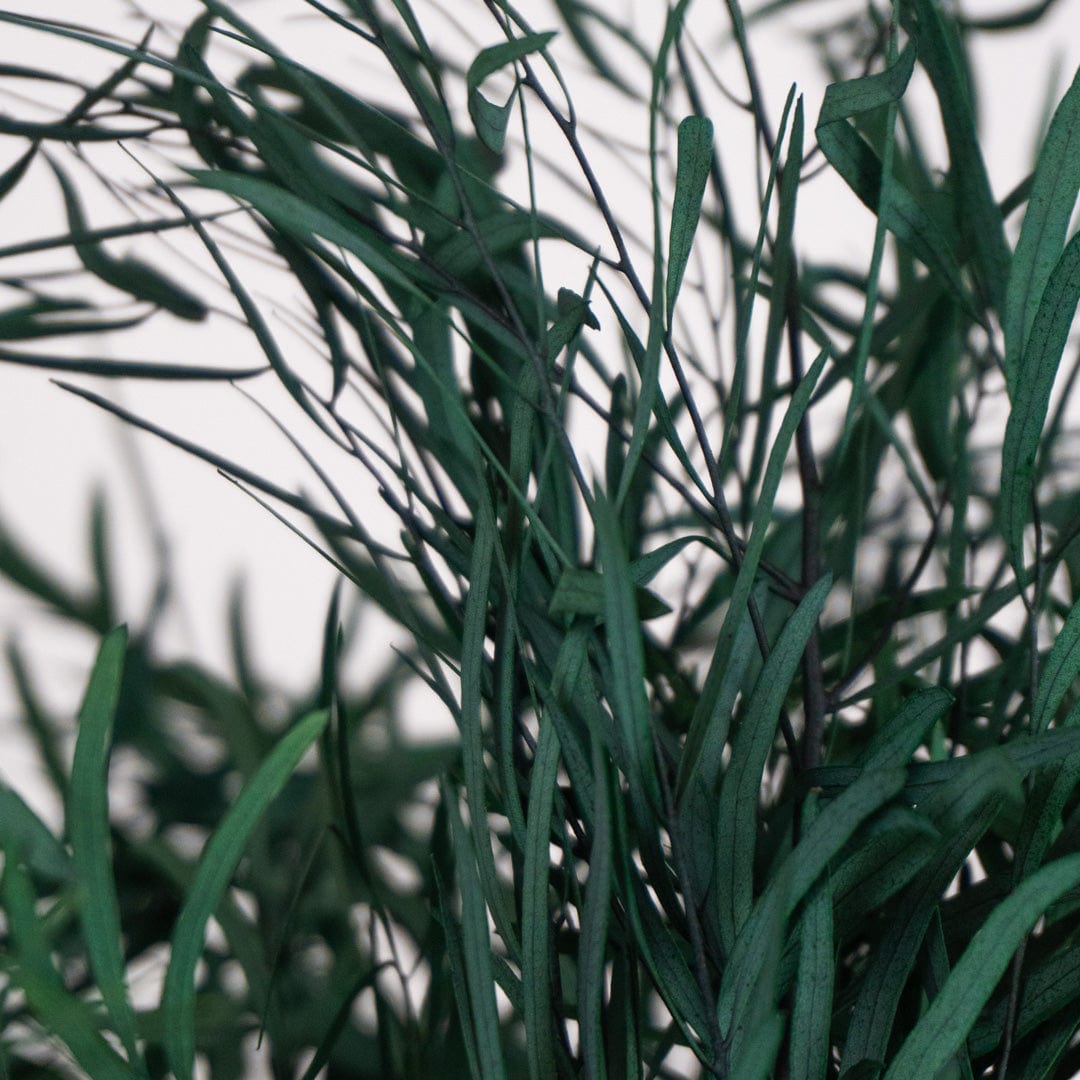 Ramo Eucalipto Nicholli Azul