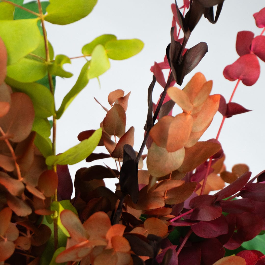 Ramo Eucalipto Mixto