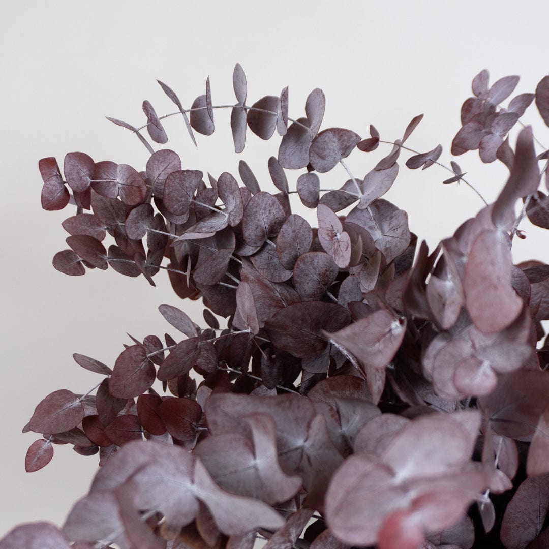 Ramo Eucalipto Granate