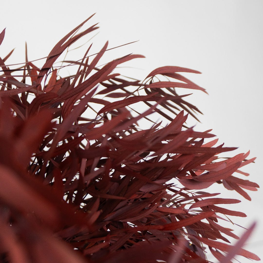 Ramo Eucalipto Nicholli Granate