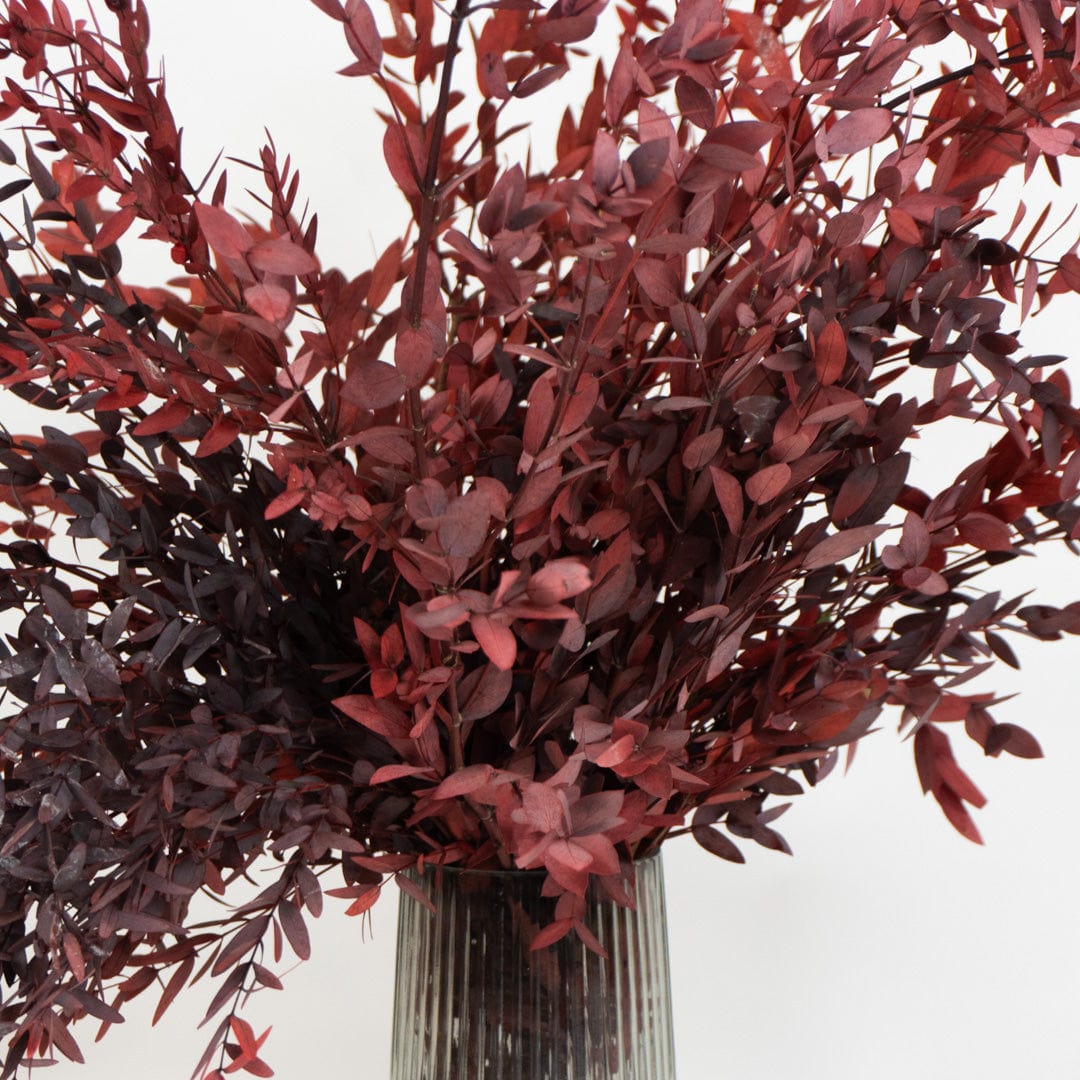 Ramo Parvifolia Granate