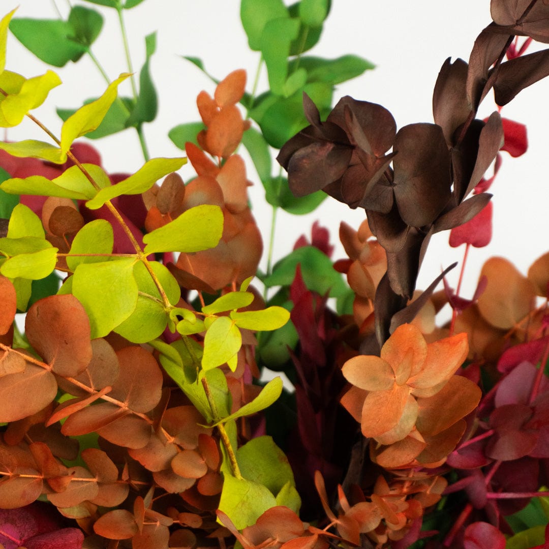 Ramo Eucalipto Mixto