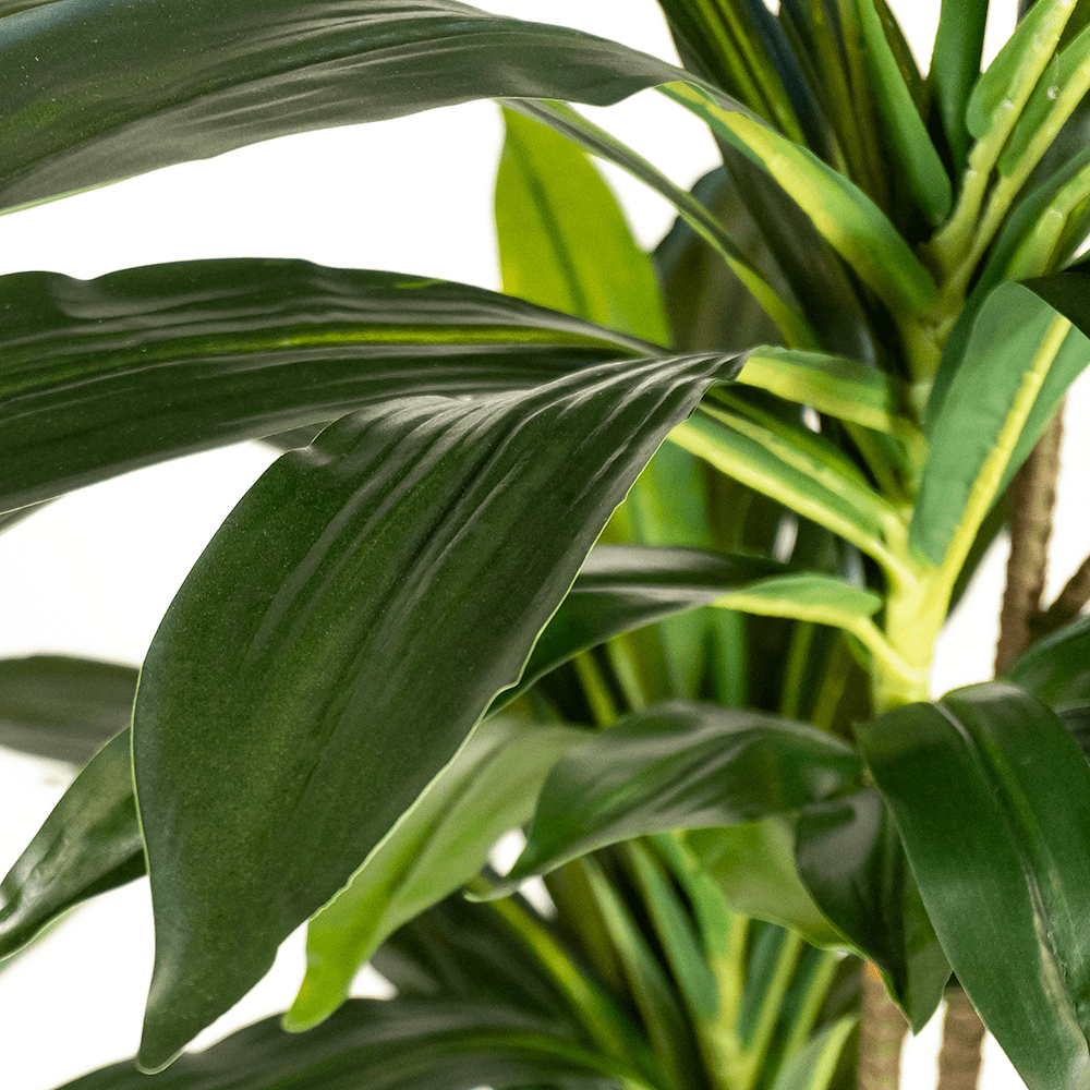 Dracena Artificial