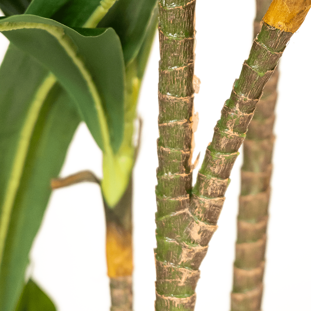 Dracena Artificial