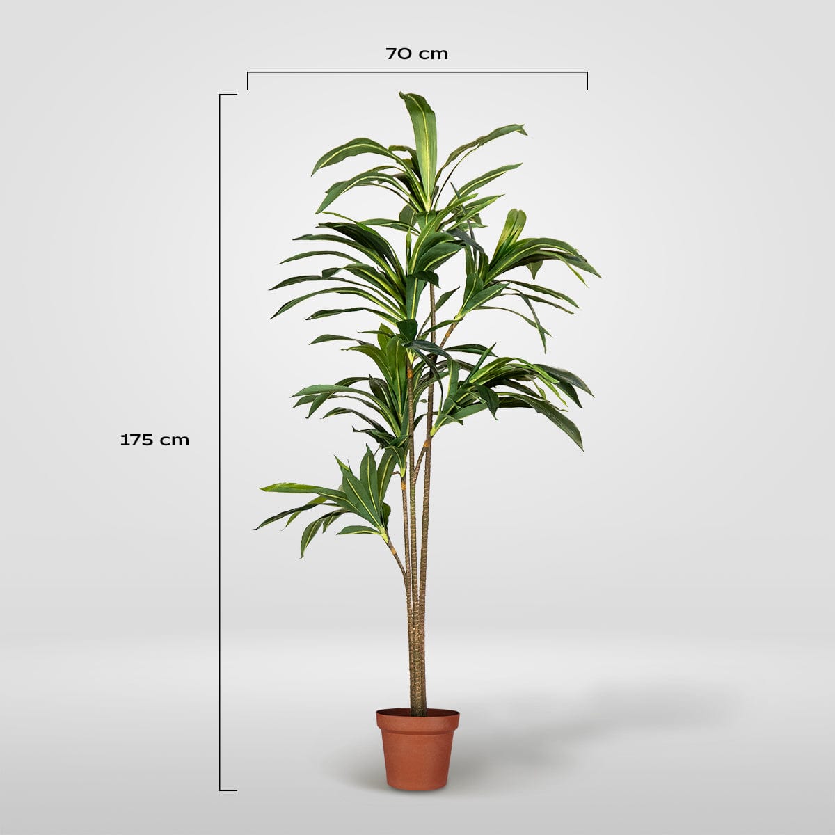 Dracena Artificial