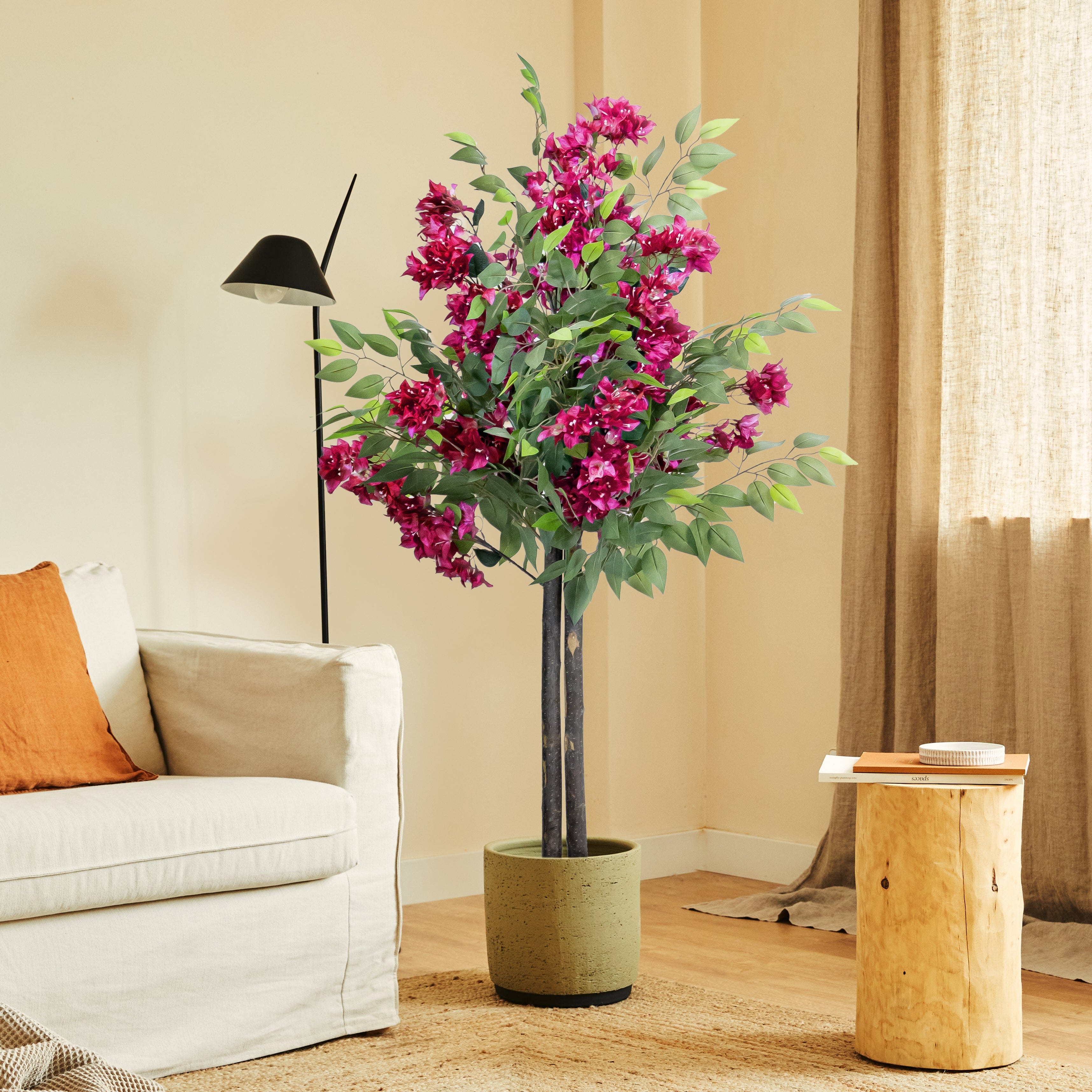 Ficus Buganvilla