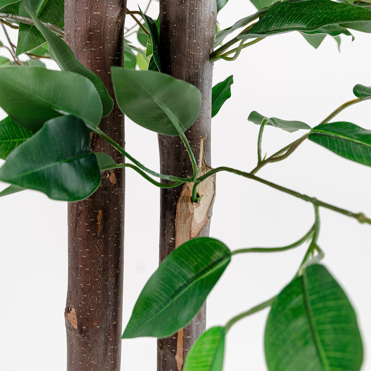 Planta artificial ficus verde 180cm – Marineando