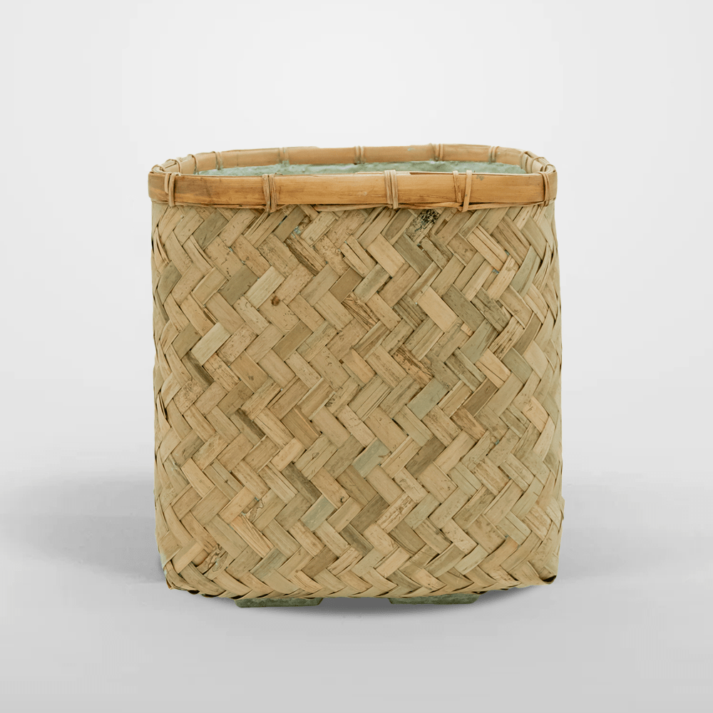 Kobe Bambú