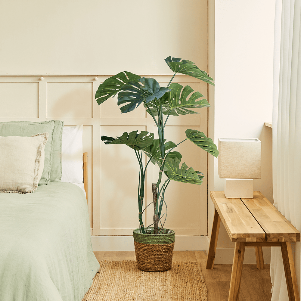 Monstera Delux M